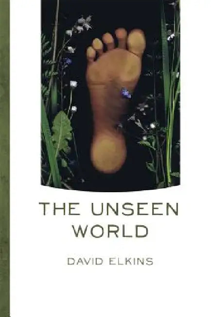 The Unseen World by David Elkins