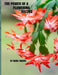 The Power of a Flowering Cactus by Kama Tarumi