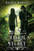 A Faerie's Secret by Rachel Morgan