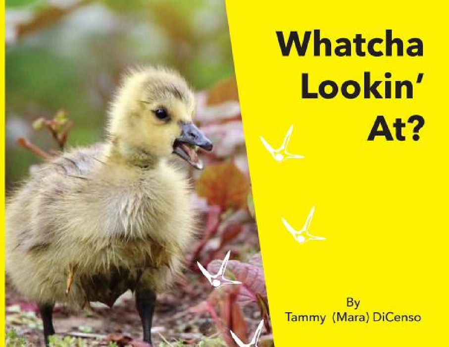 Whatcha Lookin' At? by Tammy (Mara) Dicenso