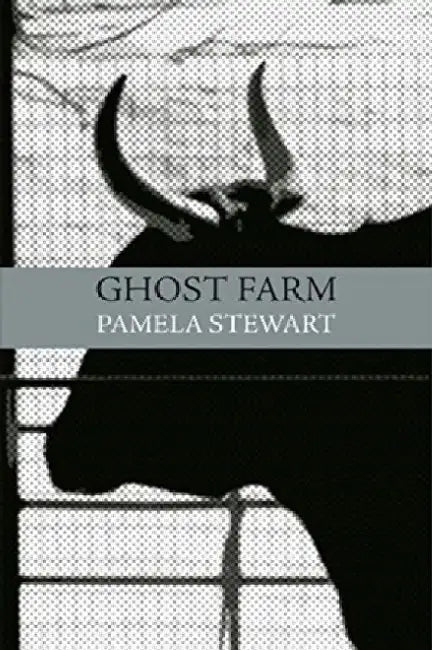 Ghost Farm by Pamela Steward