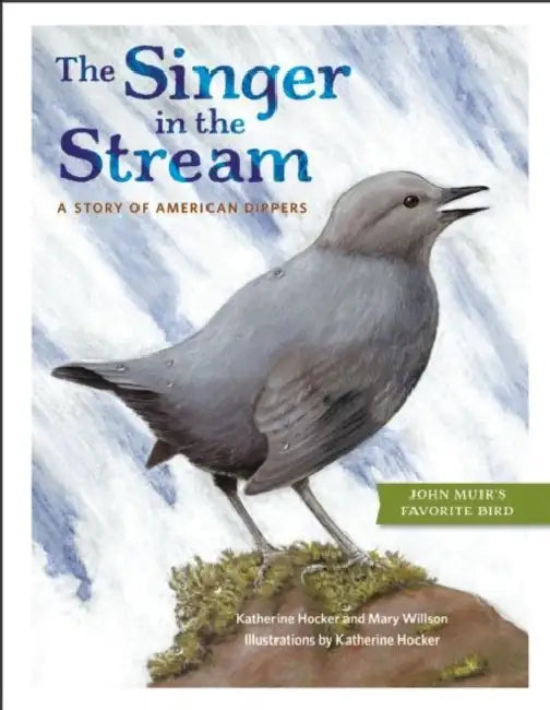 The Singer in the Stream: A Story of American Dippers by Katherine Hocker, Mary Willson
