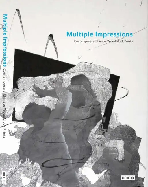 Multiple Impressions: Contemporary Chinese Woodblock Prints by Xiaobing Tang, Shang Hui, Anne Farrer