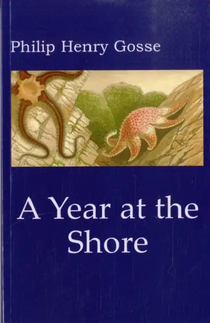 Gosse's a Year at the Shore by Philip Henry Gosse