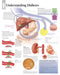 Understanding Diabetes Paper Poster by Unknown