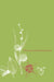 Taxonomy of Flowering Plants by Cedric Lambert Porter