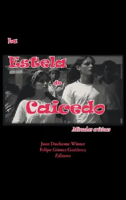 La Estela de Caicedo: Miradas Críticas by Juan Duchesne Winter, Felipe Gómez Gutiérrez