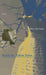 Inside the Yellow Dress by Mary Ann Samyn