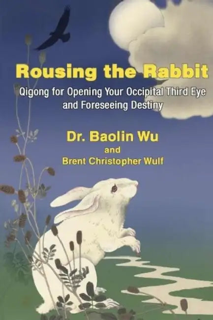 Rousing the Rabbit: Qigong for Opening the Occipital Third Eye and Foreseeing Destiny by Wu Baolin, Brent Christopher Wulf