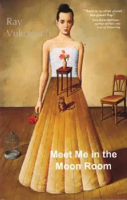 Meet Me in the Moon Room: Stories by Ray Vukcevich