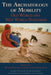 The Archaeology of Mobility: Old World and New World Nomadism by Hans Barnard, Willeke Wendrich