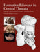 Formative Lifeways in Central Tlaxcala, Volume 1: Excavations, Ceramics, and Chronology by Richard G. Lesure