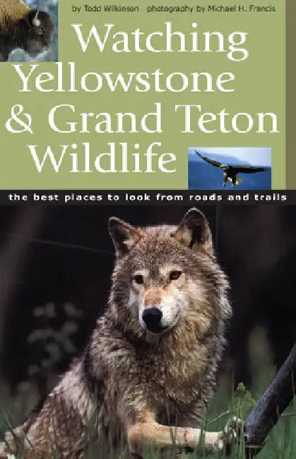 Watching Yellowstone & Grand Teton Wildlife by Todd Wilkinson