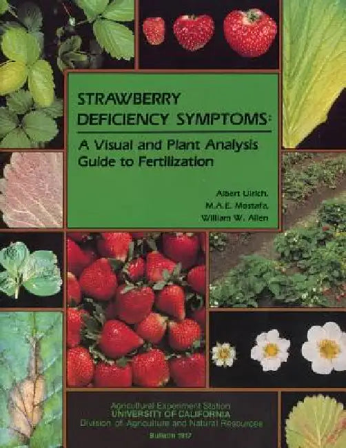 Strawberry Deficiency Symptoms by Albert Ulrich