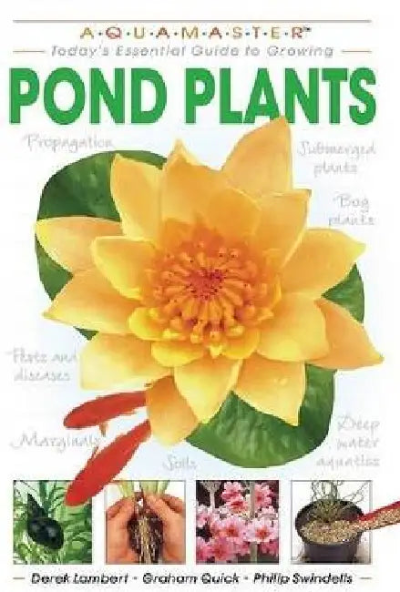 Pond Plants by Derek Lambert