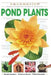 Pond Plants by Derek Lambert