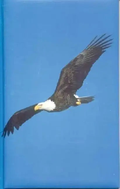 Eagle Blank Journal by Nodin Press