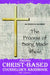 Certified Christ-based Counselor's Handbook: The Process of Being Made Whole by Steven B. Davidson