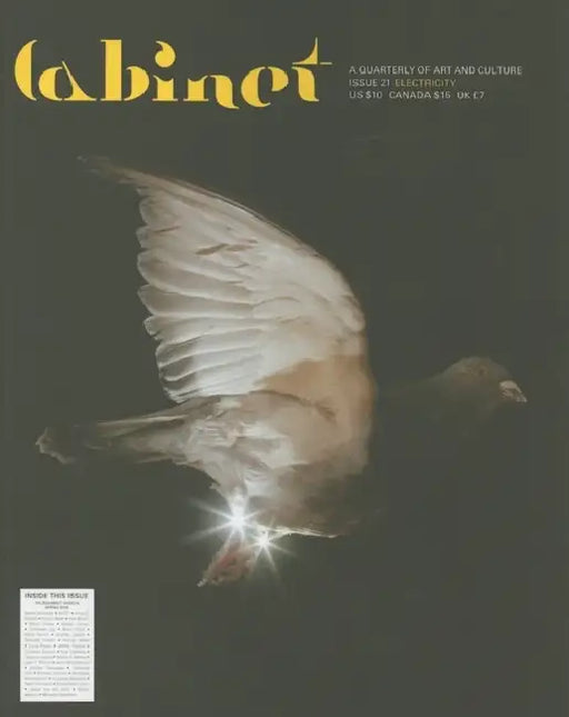 Cabinet 21: Electricity by Andrea Geyer, Rachel Watson, Tony Oursler