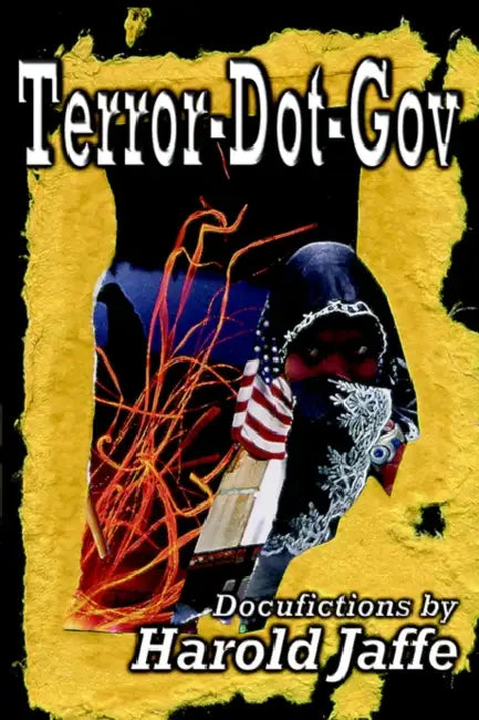 Terror-Dot-Gov by Harold Jaffe