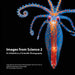 Images from Science 2: An Exhibition of Scientific Photography by School of Photographic Arts and Sciences