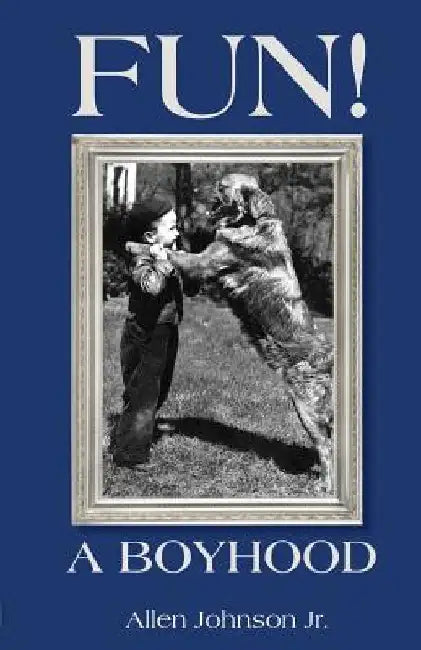 Fun! A Boyhood by Sara Chapman