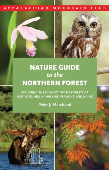 Nature Guide to the Northern Forest: Exploring the Ecology of the Forests of New York, New Hampshire, Vermont, and Maine by Peter Marchand