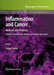 Inflammation and Cancer, Volume 1: Methods and Protocols: Experimental Models and Practical Approaches by Serguei V. Kozlov