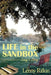 Life in the Sandbox by Lenny Rifkin