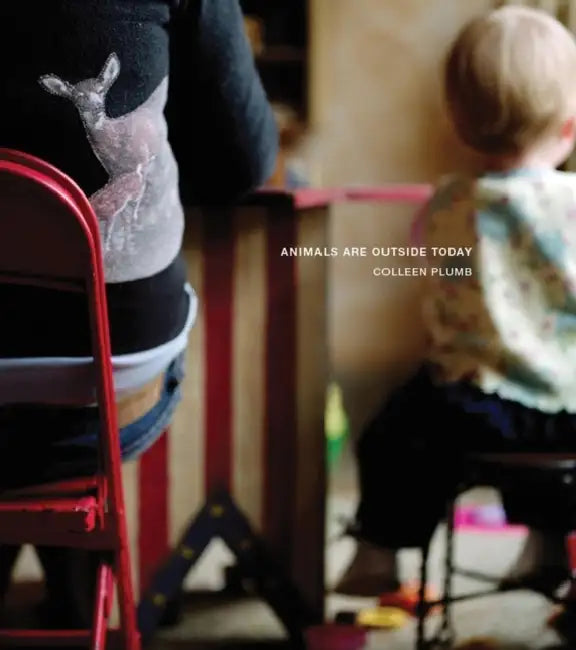Animals Are Outside Today by Colleen Plumb, Lisa Hostetler