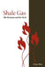 Shale Gas: The Promise and the Peril by Vikram Rao