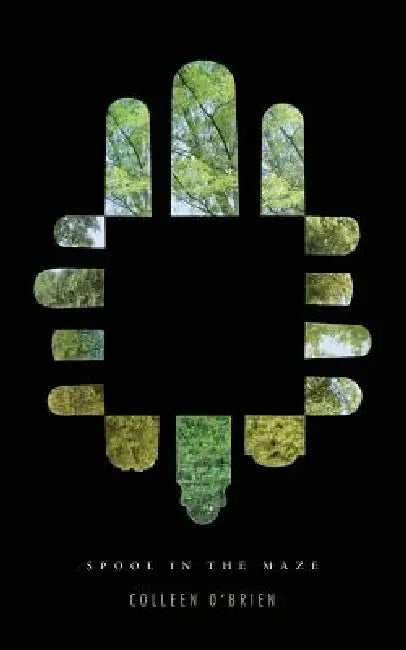 Spool in the Maze by Colleen O'Brien