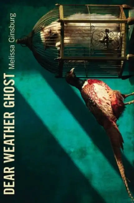 Dear Weather Ghost by Melissa Ginsburg