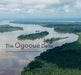 The Ogooué Delta by Jean P. Vande Weghe, Tariq Stévart