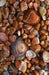 Agates Journal by Nodin Press