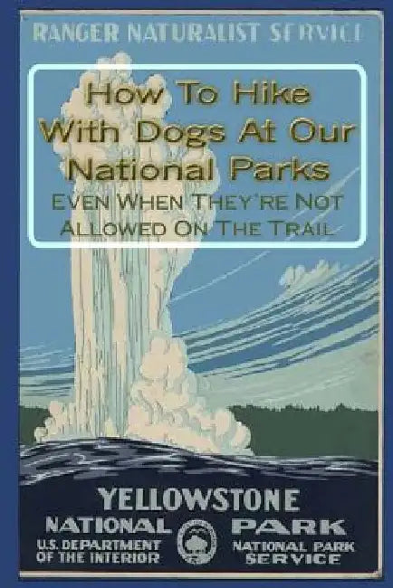 How To Hike With Dogs At Our National Parks - Even When They're Not Allowed On The Trail by Doug Gelbert