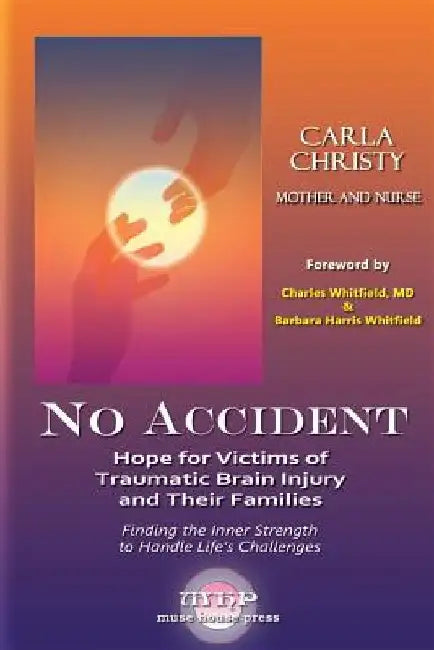 No Accident: Hope for Victims of Traumatic Brain Injury and Their Families by Carla Christy