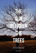 The Sun Between the Trees by Laurie Hraha