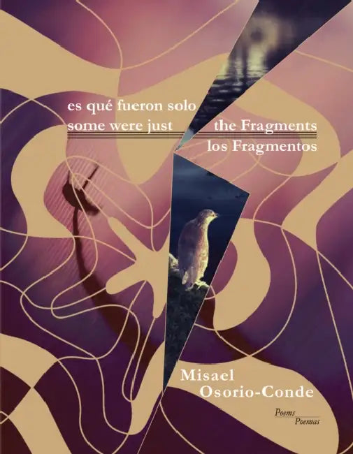 Some Were Just the Fragments // Es Que Fueron Solo Los Fragmentos by Misael Osorio-Conde