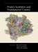 Protein Synthesis and Translational Control by Hershey, John Wb