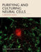 Purifying and Culturing Neural Cells: A Laboratory Manual by Ben A. Barres, Beth Stevens