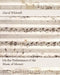 On the Performance of the Music of Mozart by David Whitwell