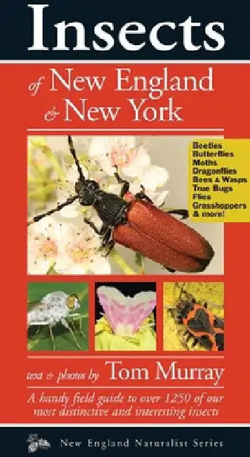 Insects of New England & New York by Murray, Tom