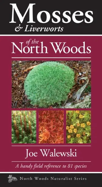 Mosses & Liverworts of the North Woods: A Handy Field Reference to 81 Species by Joe Walewski
