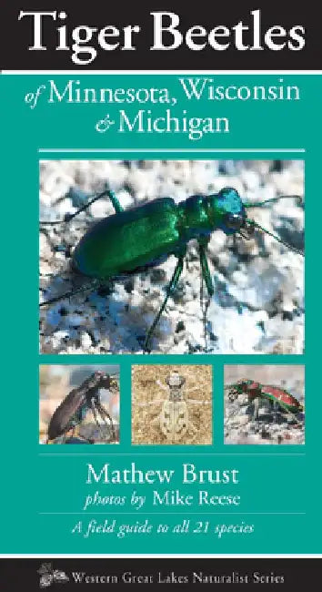 Tiger Beetles of Minnesota, Wisconsin & Michigan by Mathew Brust