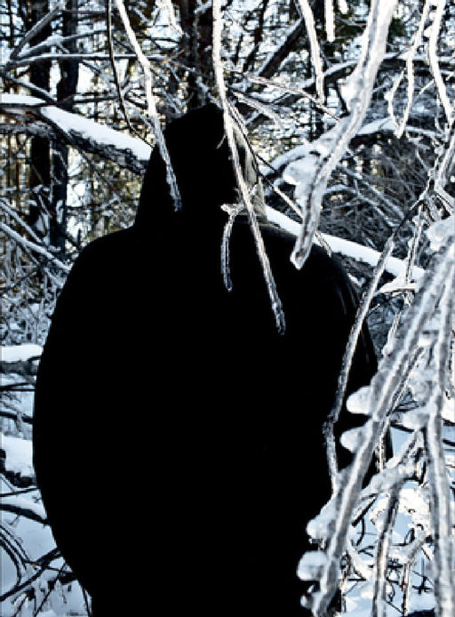 Gary Briechle: Maine by Gary Briechle