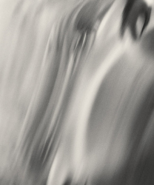 Henry O. Head: Twelve Acres by Henry Head, Bryan Schutmaat, Alyssah Morrison