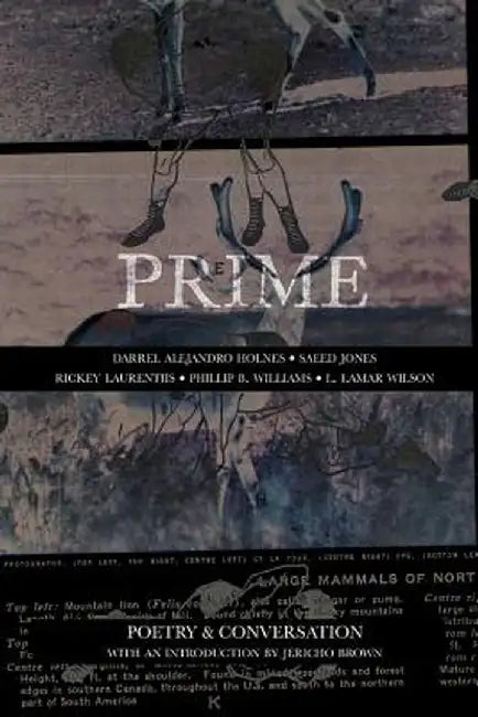 Prime: Poetry & Conversation by Darrel Alejandro Holnes