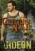Gideon by Cherry Adair
