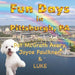 Fun Days in Pittsburgh by Pat McGrath Avery, Joyce Faulkner